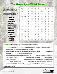 Word Search Puzzle (K-8)