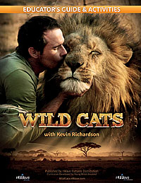 wildcats_guide