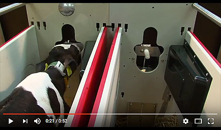 Activity 2 Resource - Robotic Calf Feeding System