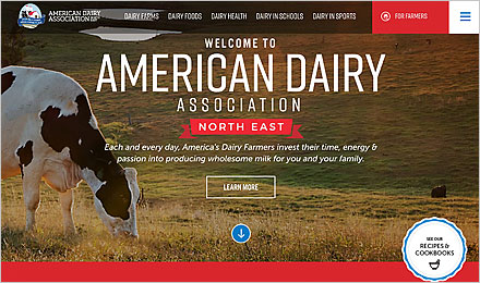 Visit the American Dairy Association North East (ADANE) Website