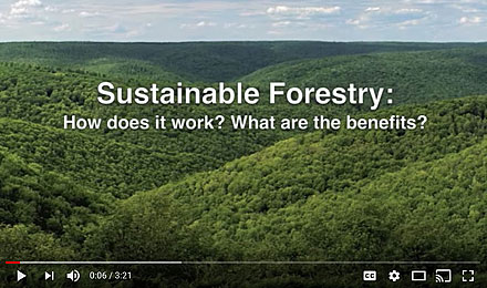 Forest Management: Watch the Sustainable Forestry Video
