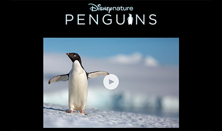 Visit Disney.com/Penguins