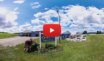 Cows Come First on the Gervais Dairy Farm: 360-degree video