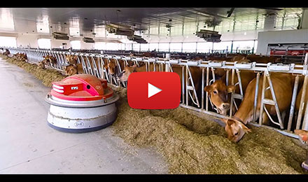 Changing Ways on Two New England Dairy Farms: 360-degree video