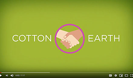 Activity 3 Resource: Cotton and the Planet