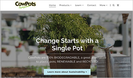 Learn More About CowPots