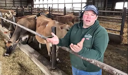 Take a Virtual Dairy Farm Tour