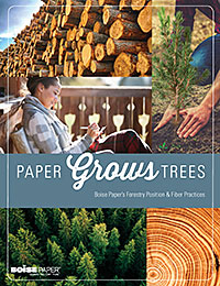 Paper Grows Trees Brochure