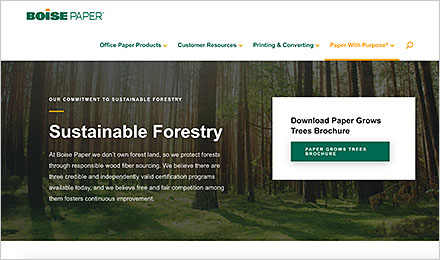 Learn About Sustainable Forestry