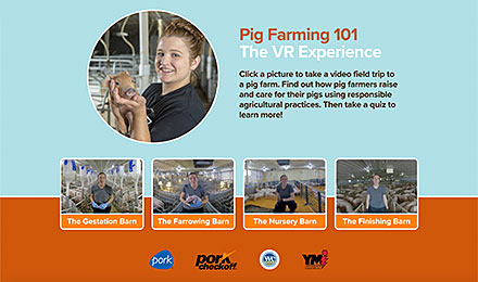 Pig Farming 101: The VR Experience