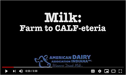 Colts Blue “Milk: Farm to CALF-eteria”