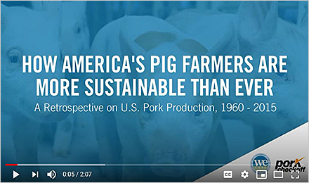 How U.S. Pig Farmers Are More Sustainable Than Ever