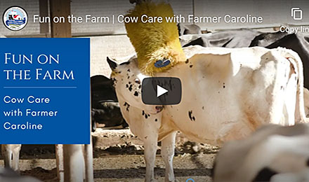 Cow Care with Farmer Caroline