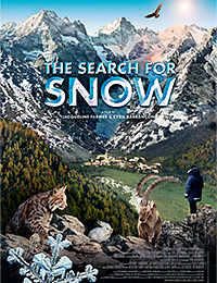 The Search for Snow