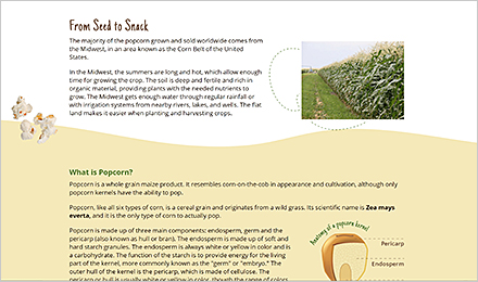 Activities 2 and 3 Resource: From Seed to Snack