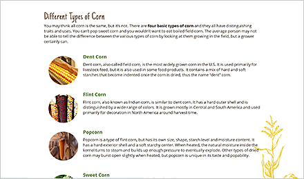 Different Types of Corn