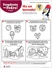 Tornadoes Kit (Span)