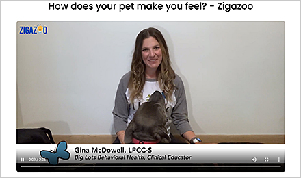 Zigazoo Activity – How does your pet make you feel?