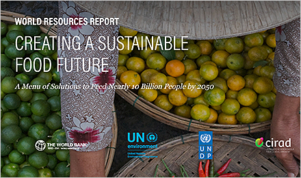 Activity 1 Resource: Sustainable Food Future