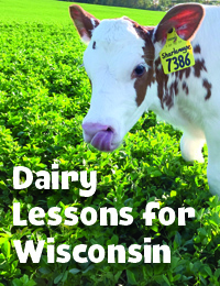 Wisconsin Dairy