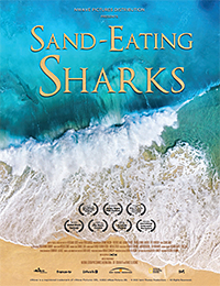 Sand-Eating Sharks