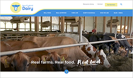Learn More About New England Dairy