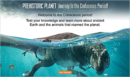 Digital Quiz: Journey to the Cretaceous Period!