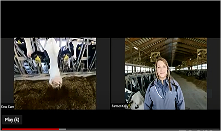 Virtual Farm Tour: How Dairy Cares at Reyncrest Farm (Elementary School)