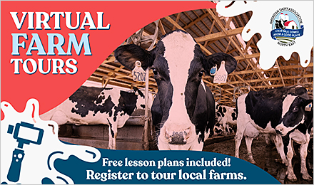 Sign Up for Virtual Dairy Farm Tours