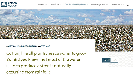 Activity 3 Resource: Cotton and Water Use