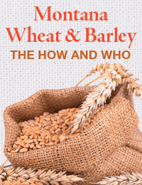 Montana Wheat and Barley