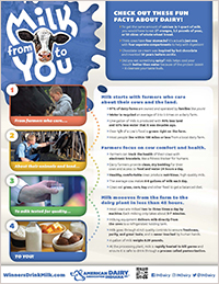 Milk from Cow to You Handout