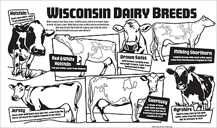 Wisconsin Cow Breeds