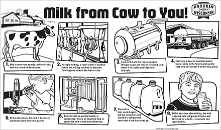 Milk From Cow to You