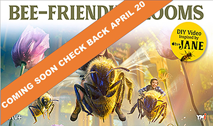 DIY Activity Video: Bee-Friendly Blooms