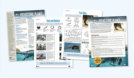 Teaching Kit Gr. 1-2, Season 1