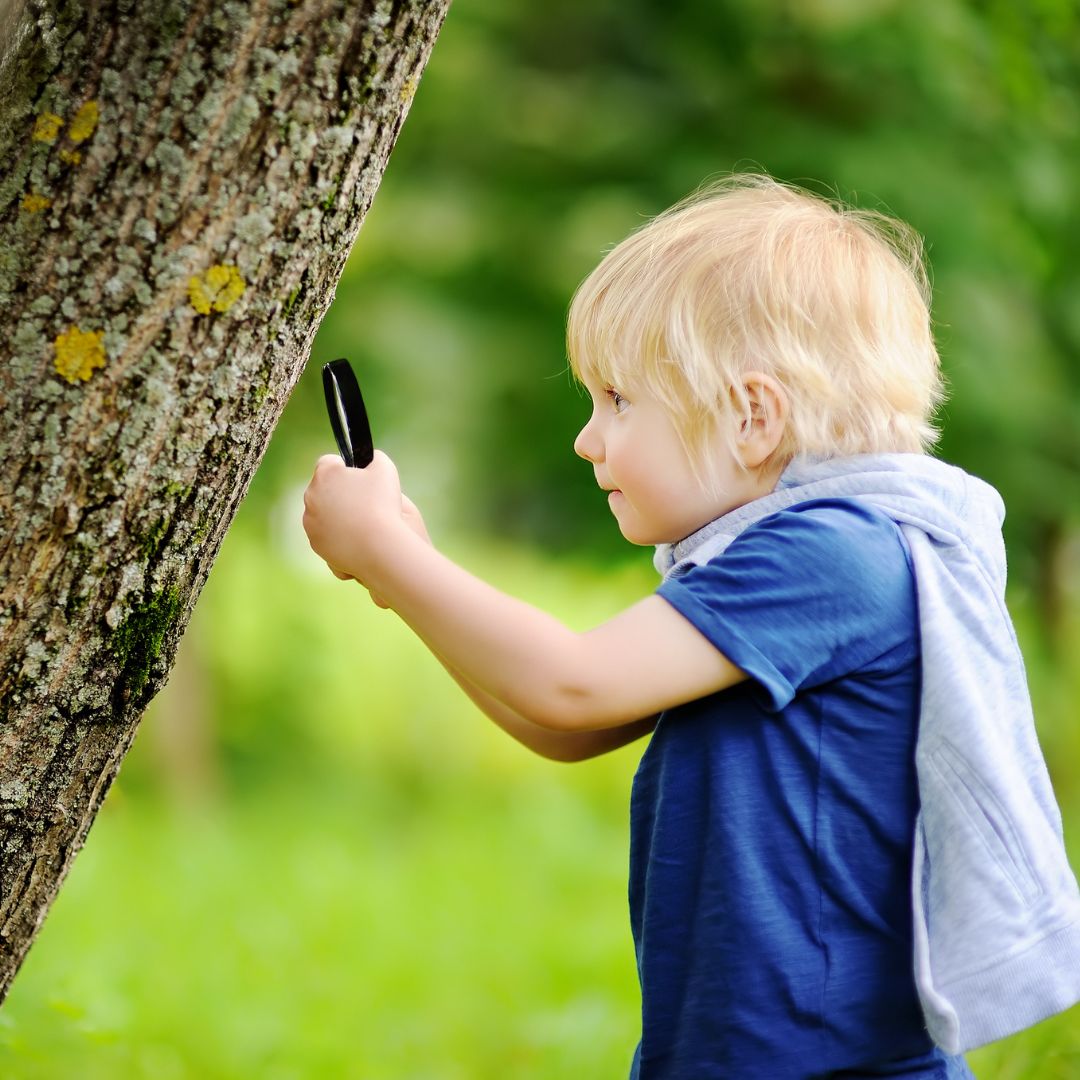 img of a child looking at a tree