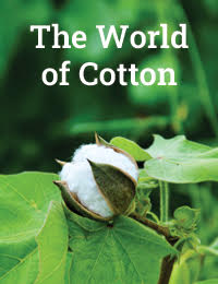 cotton2023_featured