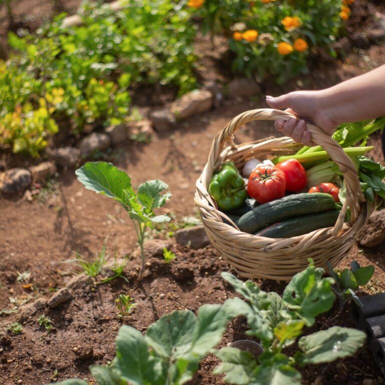 Nature-Based Lesson Plans for All Ages - Classroom Ideas