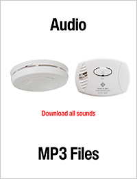 Download All Three MP3 Audio Files