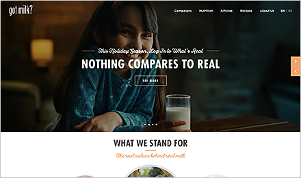 <em>got milk?</em>&nbsp;&nbsp;Official Site
