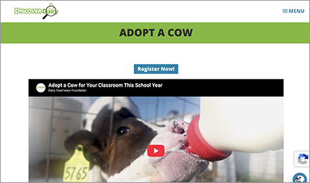 Learn about the Adopt-a-Cow program for elementary schools