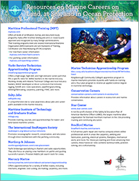 Career Handout (English)